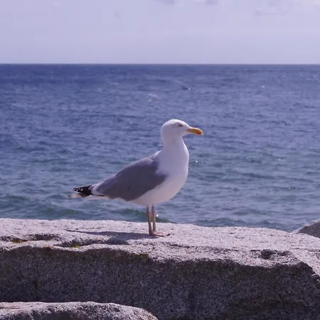 Lejlighed Heimathafen & *